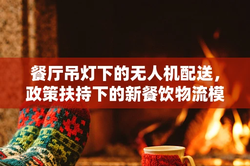 餐厅吊灯下的无人机配送，政策扶持下的新餐饮物流模式？