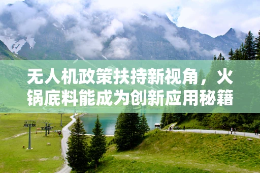 无人机政策扶持新视角，火锅底料能成为创新应用秘籍吗？