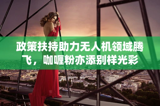 政策扶持助力无人机领域腾飞，咖喱粉亦添别样光彩