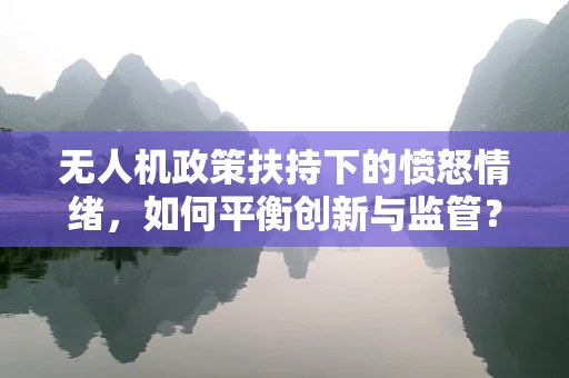 无人机政策扶持下的愤怒情绪，如何平衡创新与监管？