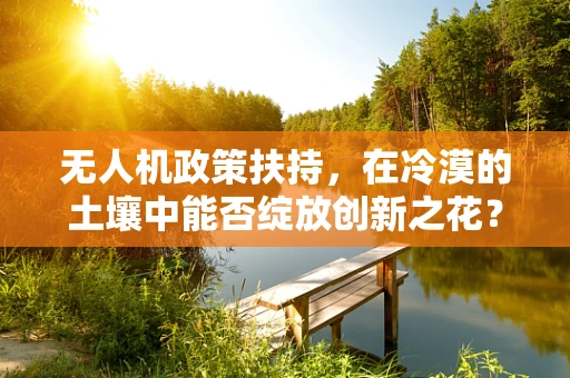 无人机政策扶持，在冷漠的土壤中能否绽放创新之花？