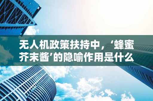 无人机政策扶持中，‘蜂蜜芥末酱’的隐喻作用是什么？