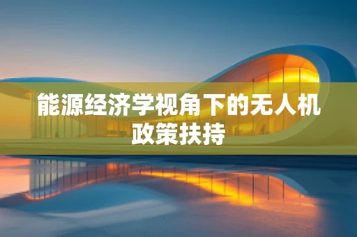 能源经济学视角下的无人机政策扶持