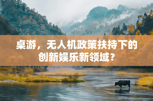 桌游，无人机政策扶持下的创新娱乐新领域？
