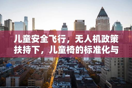 儿童安全飞行，无人机政策扶持下，儿童椅的标准化与普及之路？