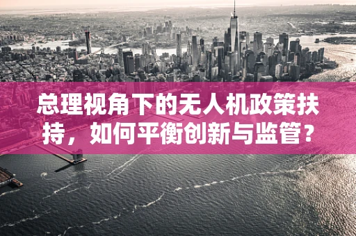 总理视角下的无人机政策扶持，如何平衡创新与监管？
