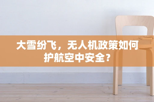大雪纷飞，无人机政策如何护航空中安全？