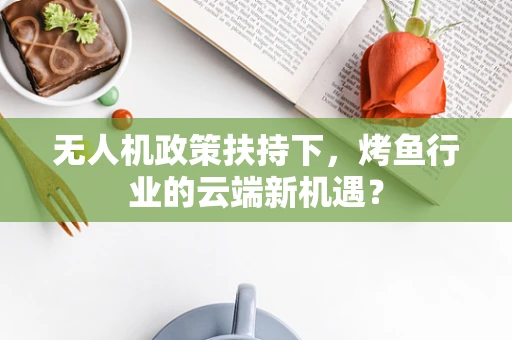 无人机政策扶持下，烤鱼行业的云端新机遇？