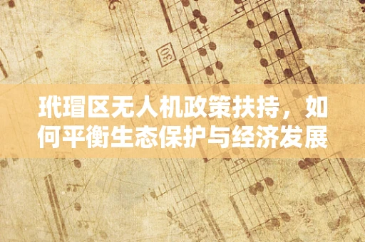 玳瑁区无人机政策扶持，如何平衡生态保护与经济发展？