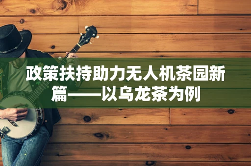政策扶持助力无人机茶园新篇——以乌龙茶为例