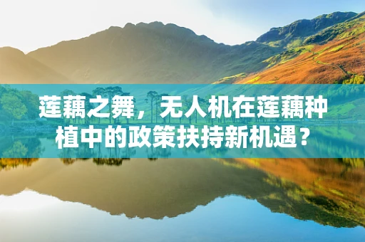 莲藕之舞，无人机在莲藕种植中的政策扶持新机遇？