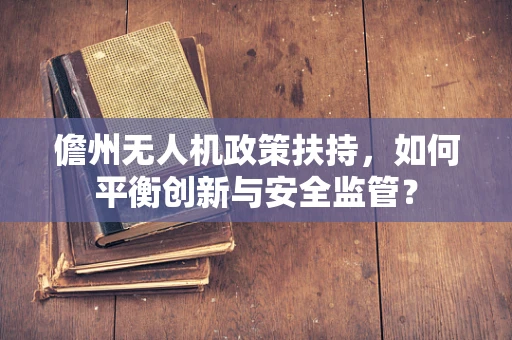儋州无人机政策扶持，如何平衡创新与安全监管？