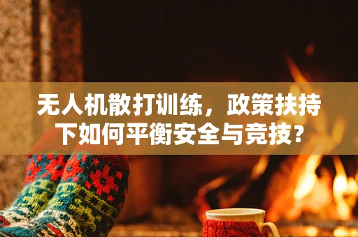 无人机散打训练，政策扶持下如何平衡安全与竞技？