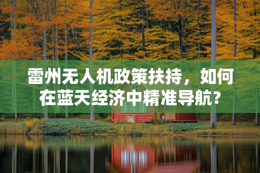 雷州无人机政策扶持，如何在蓝天经济中精准导航？