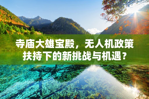 寺庙大雄宝殿，无人机政策扶持下的新挑战与机遇？