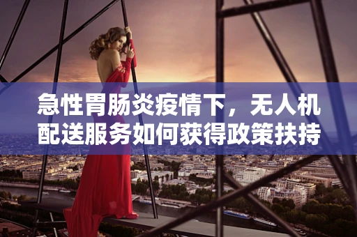 急性胃肠炎疫情下，无人机配送服务如何获得政策扶持以保障公共卫生安全？
