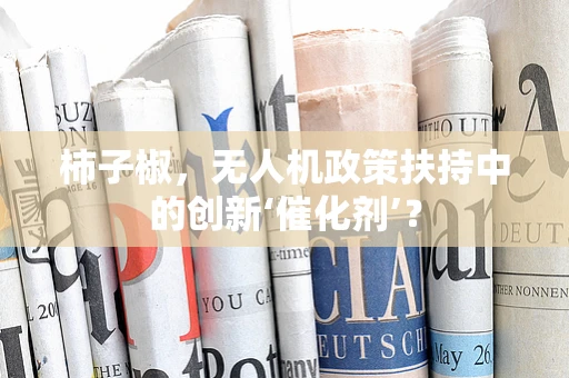 柿子椒，无人机政策扶持中的创新‘催化剂’？