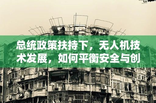 总统政策扶持下，无人机技术发展，如何平衡安全与创新的边界？