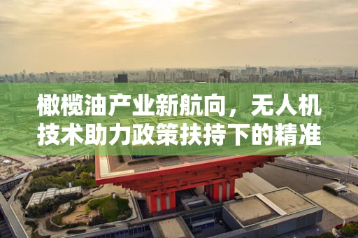 橄榄油产业新航向，无人机技术助力政策扶持下的精准农业实践？
