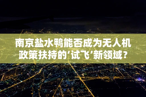 南京盐水鸭能否成为无人机政策扶持的‘试飞’新领域？