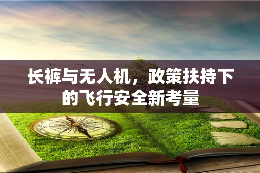 长裤与无人机，政策扶持下的飞行安全新考量