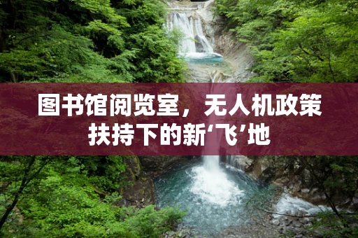 图书馆阅览室，无人机政策扶持下的新‘飞’地
