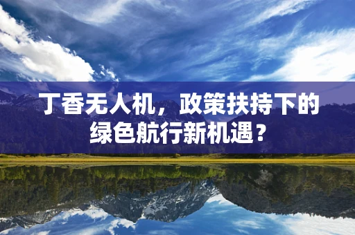 丁香无人机，政策扶持下的绿色航行新机遇？