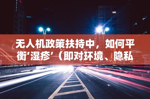 无人机政策扶持中，如何平衡‘湿疹’（即对环境、隐私的潜在影响）与技术创新？