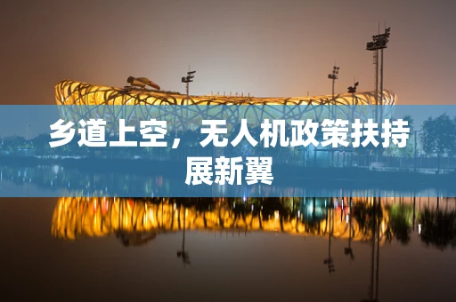 乡道上空，无人机政策扶持展新翼