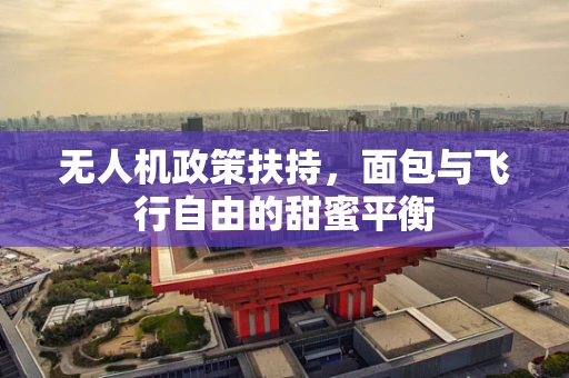 无人机政策扶持，面包与飞行自由的甜蜜平衡