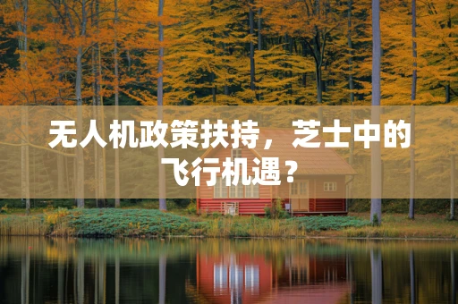 无人机政策扶持，芝士中的飞行机遇？