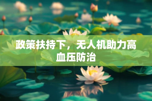 政策扶持下，无人机助力高血压防治
