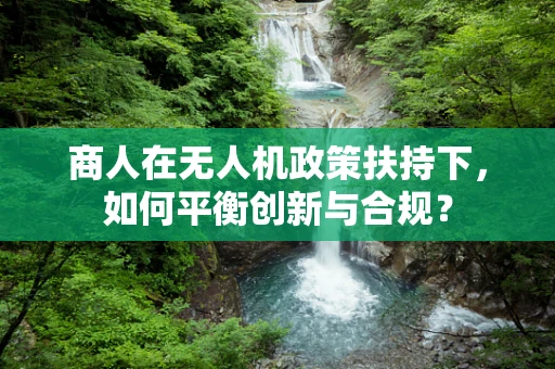 商人在无人机政策扶持下，如何平衡创新与合规？