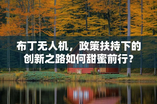 布丁无人机，政策扶持下的创新之路如何甜蜜前行？