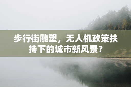 步行街雕塑，无人机政策扶持下的城市新风景？