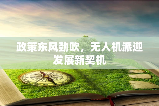 政策东风劲吹，无人机派迎发展新契机