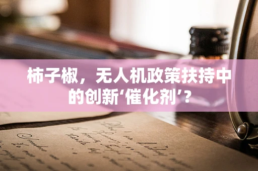 柿子椒，无人机政策扶持中的创新‘催化剂’？