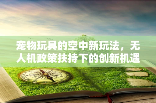 宠物玩具的空中新玩法，无人机政策扶持下的创新机遇？