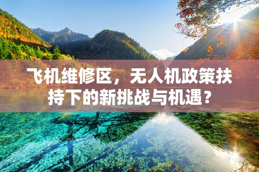 飞机维修区，无人机政策扶持下的新挑战与机遇？