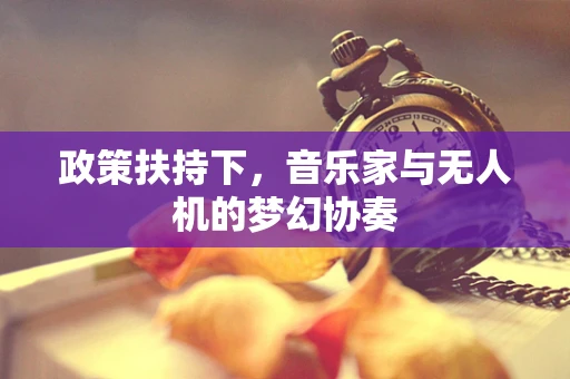 政策扶持下，音乐家与无人机的梦幻协奏