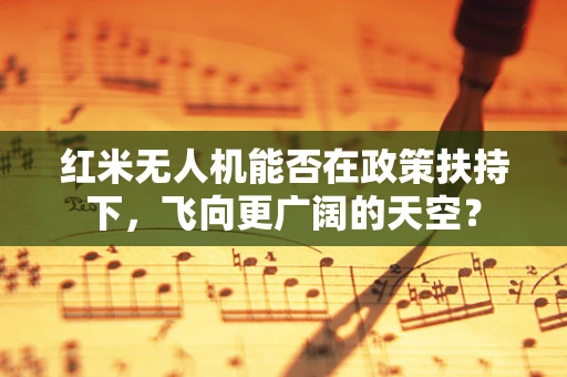 红米无人机能否在政策扶持下，飞向更广阔的天空？