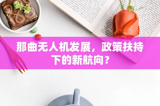 那曲无人机发展，政策扶持下的新航向？
