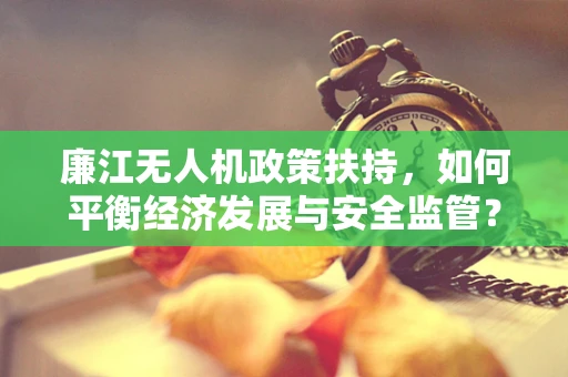 廉江无人机政策扶持，如何平衡经济发展与安全监管？