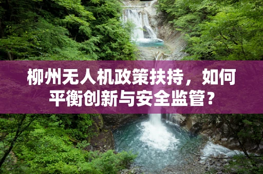 柳州无人机政策扶持，如何平衡创新与安全监管？