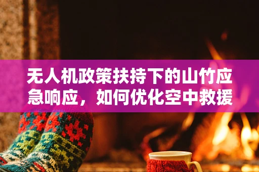 无人机政策扶持下的山竹应急响应，如何优化空中救援效率？