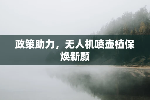 政策助力，无人机喷壶植保焕新颜