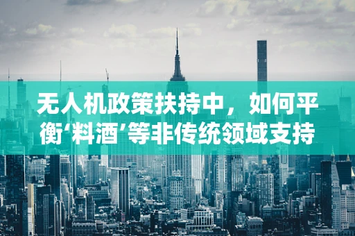 无人机政策扶持中，如何平衡‘料酒’等非传统领域支持与专业技术的精准对接？
