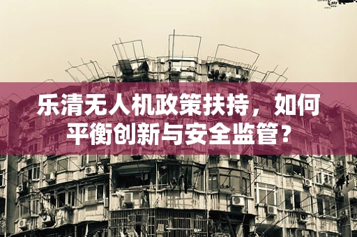乐清无人机政策扶持，如何平衡创新与安全监管？