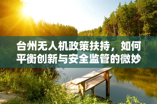 台州无人机政策扶持，如何平衡创新与安全监管的微妙平衡？