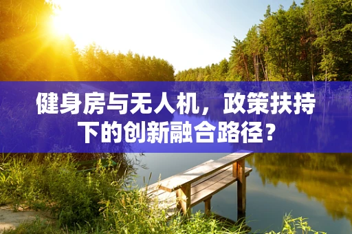 健身房与无人机，政策扶持下的创新融合路径？